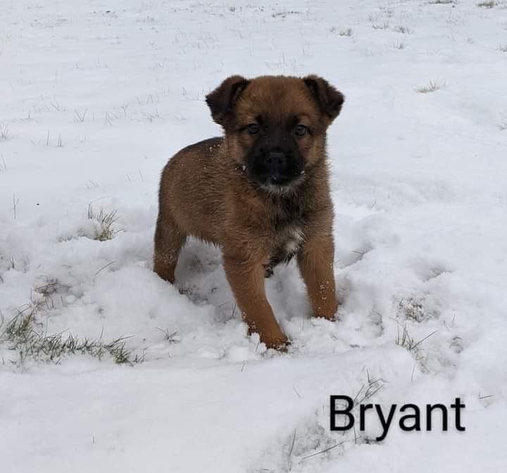 Furry Friday Lowell's First Look