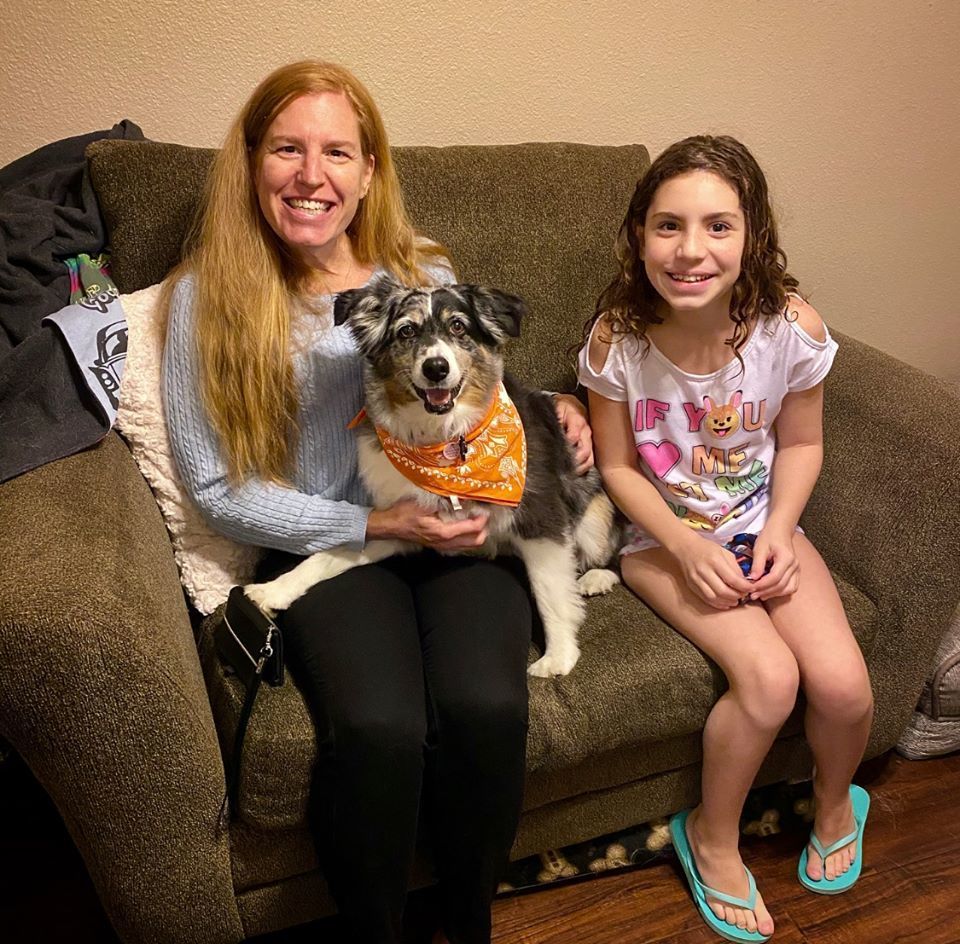 australian shepherd furever rescue