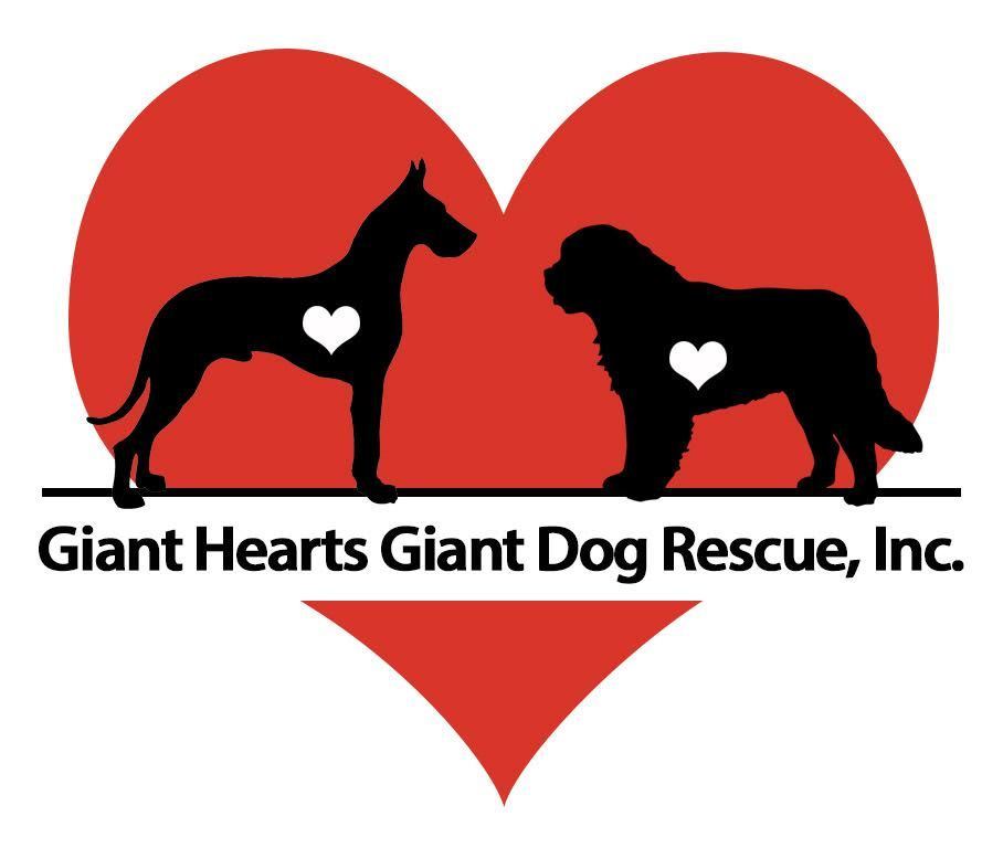 giant dog rescue near me