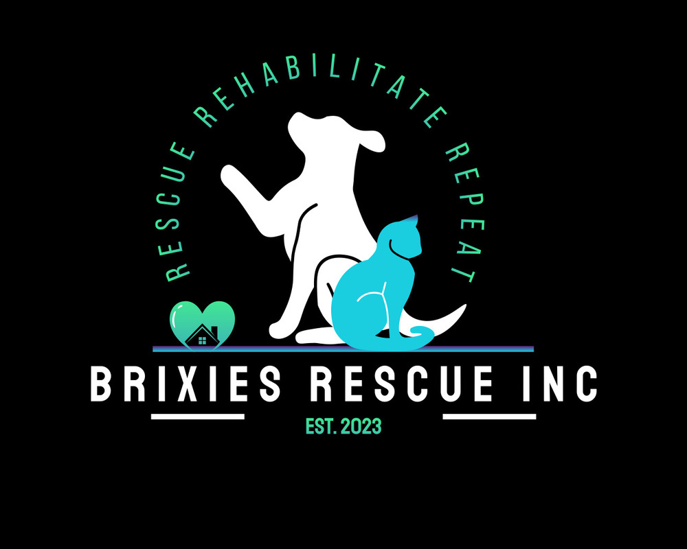 petstablished-manage-your-animal-welfare-organization-awo-with-our