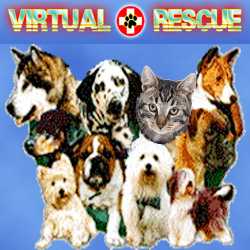 Vr pet est