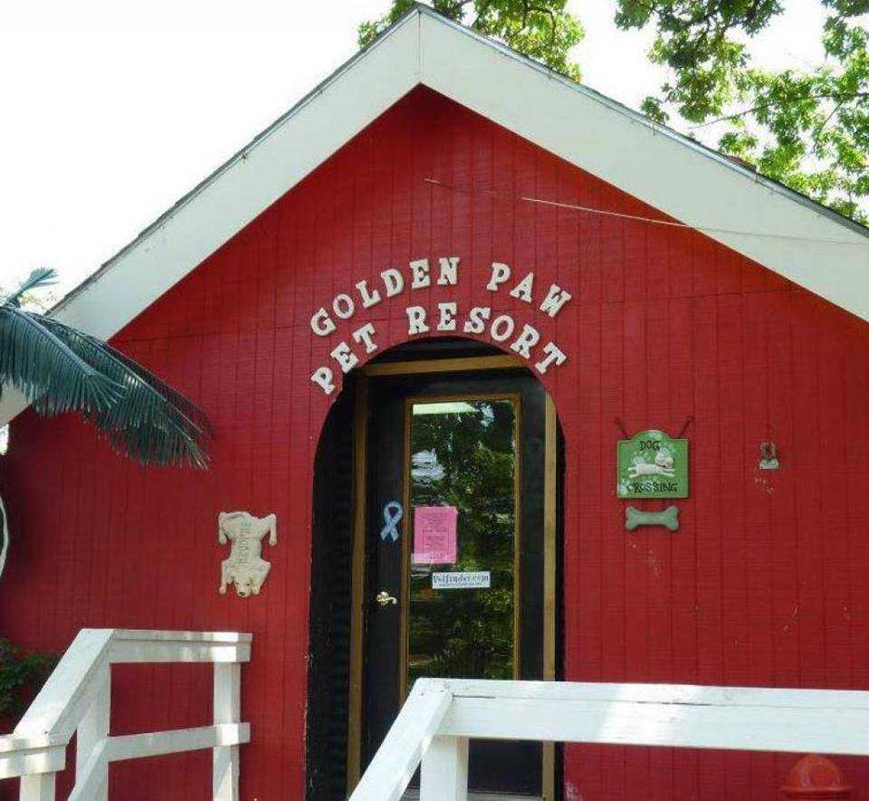 Petstablished Golden Paw / Paws With Possibilities has pets for adopt.