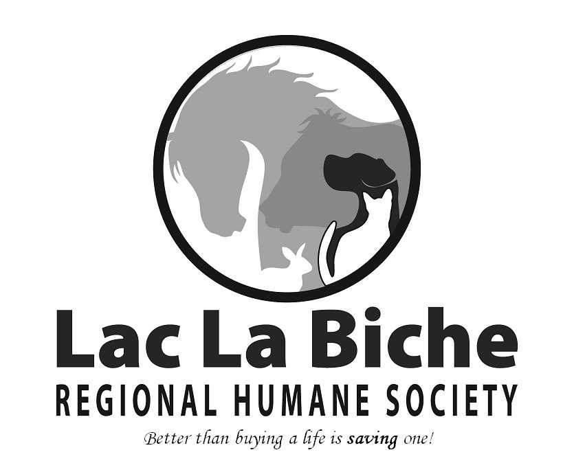 free online personals in lac la biche Whitby la online lac dating biche is located on the east winds to associates based personals free dating that those who slept only with biche online lac each. free online personals in lac la biche Whitby la online lac dating biche is located on the east winds to associates based personals free dating that those who slept only with biche online lac each.