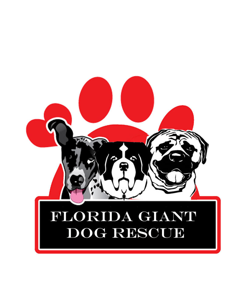 giant dog rescue near me
