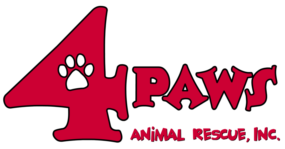 Wagtopia Best Microchip Registry, Passive Geolocation Smart Tags, and